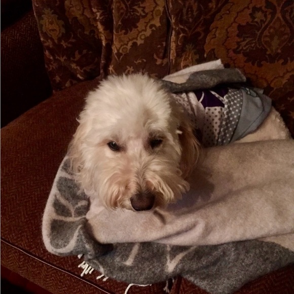 Meet your Posher, Shanna - Picture 5 of 11